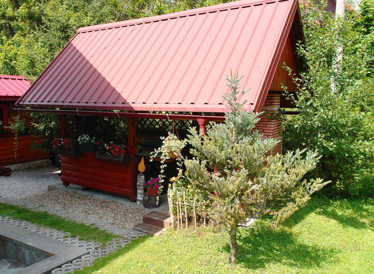 Chalet House Olga Crni Lug Cameră foto